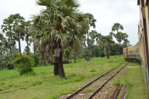 Da Yangon a Bagan by train 