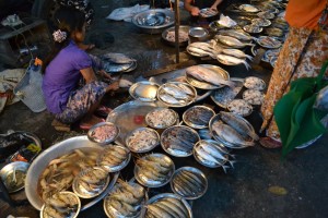 Mercato di pesce sulla strada