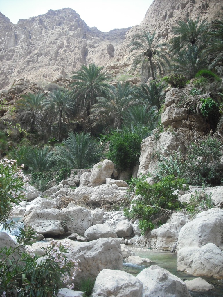 Wadi oman