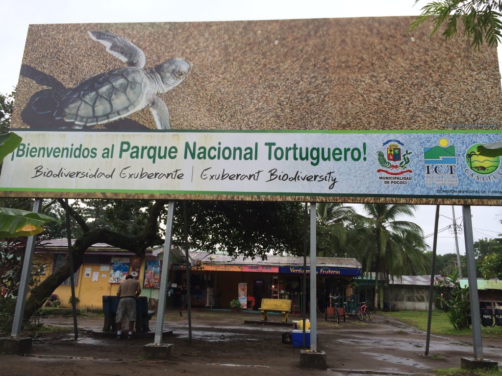 tortuguero national park