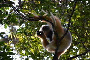 Madagascar informazioni utili
