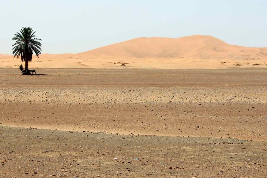 Il deserto del Sahara