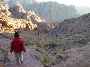 La discesa del Monte Sinai