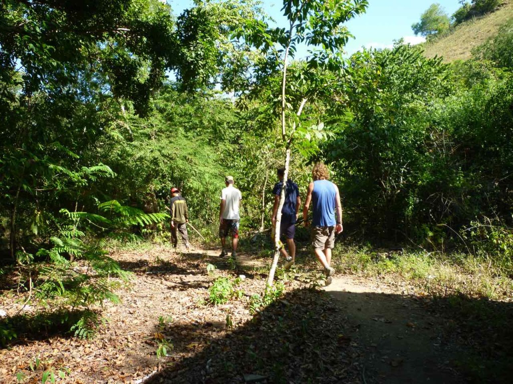 Trekking sull'isola di Rinca