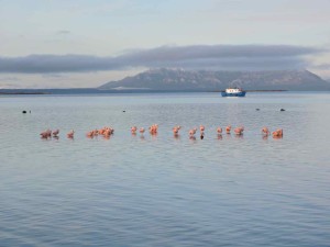 Puerto Natales