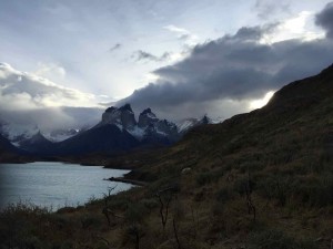 Parco del Paine