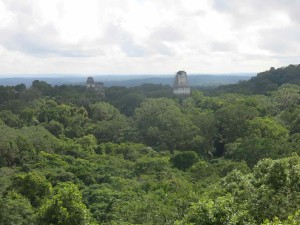 Tikal vista dall'alto delle sue piramidi 