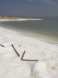 Israele Terra di latte e miele