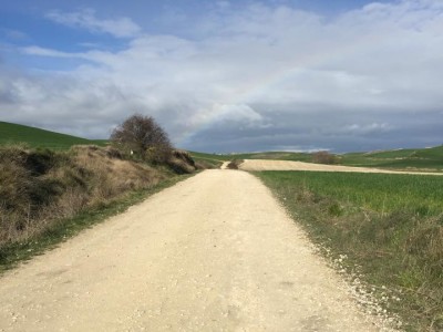 Camino de Santiago