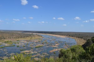 Alla ricerca dei Big Five al Kruger Park