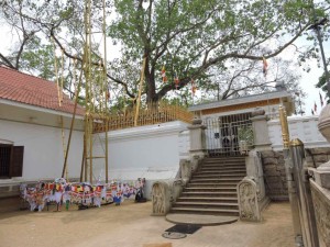 Sri Lanka Anuradhapura