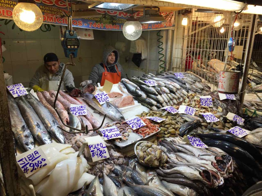 Il Mercado Central di Santiago del Cile