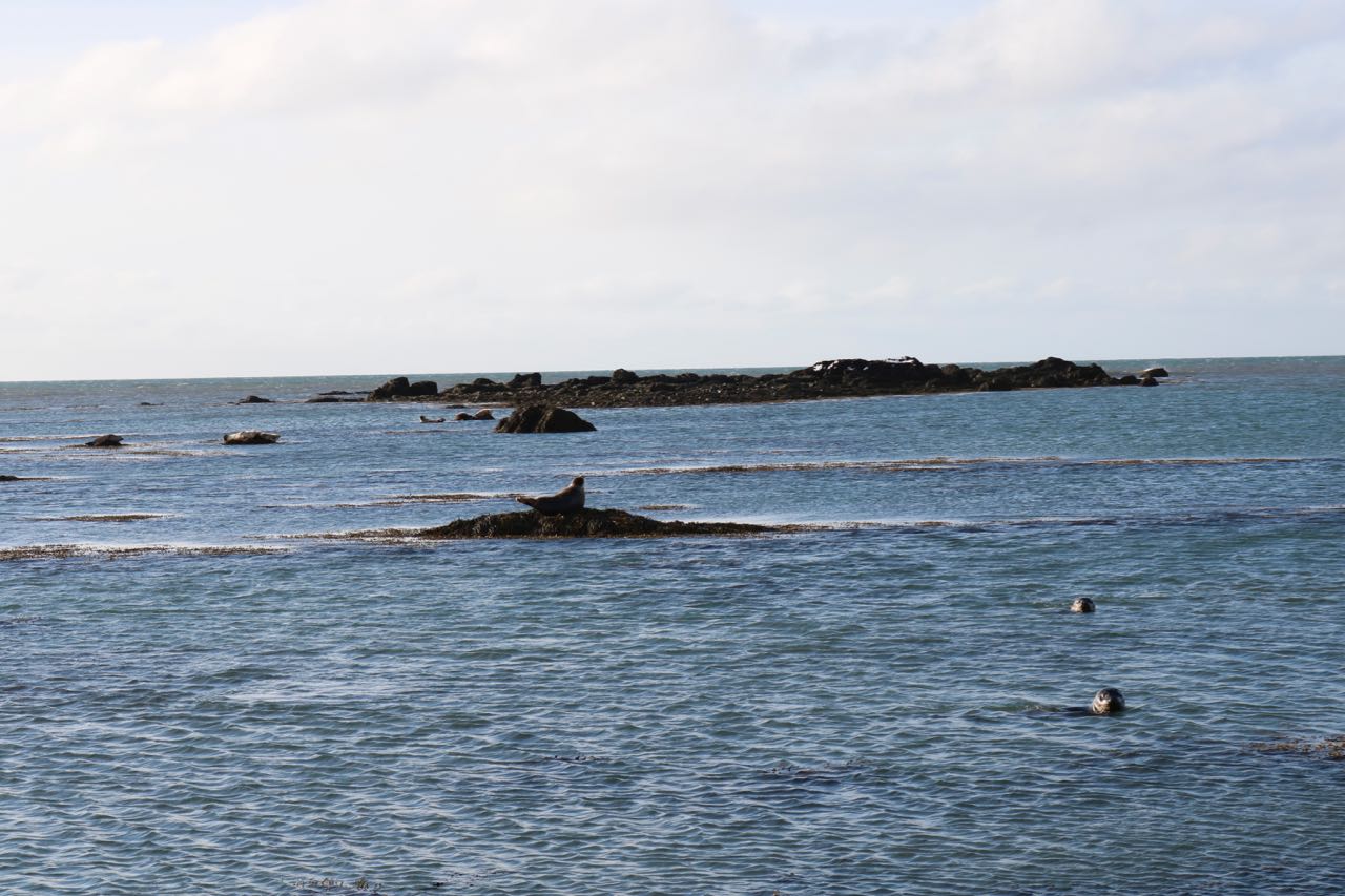 Spiaggia di Ytri Tunga