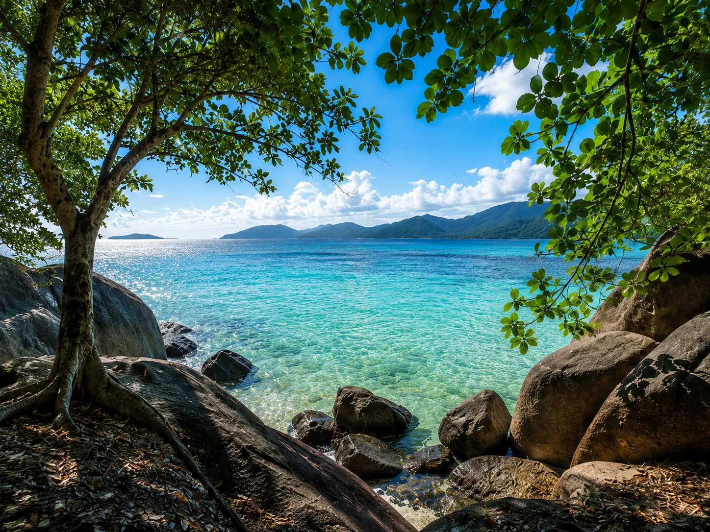 6d51682a-61d1-46aa-bd88-498f1e98e854_risultato Seychelles o Maldive