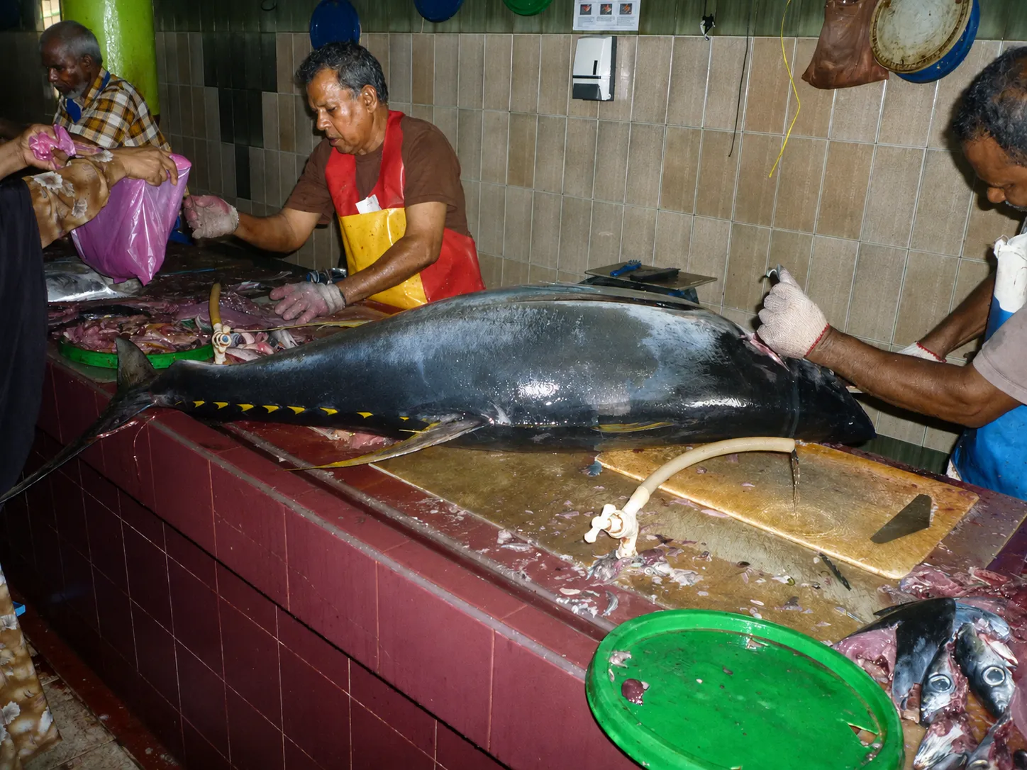 Cucina Maldiviana Cucina Maldiviana
